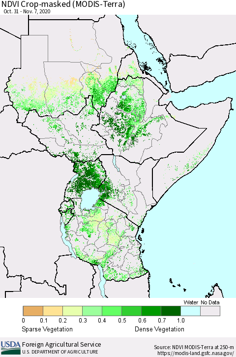 Eastern Africa Cropland NDVI (Terra-MODIS) Thematic Map For 11/1/2020 - 11/10/2020