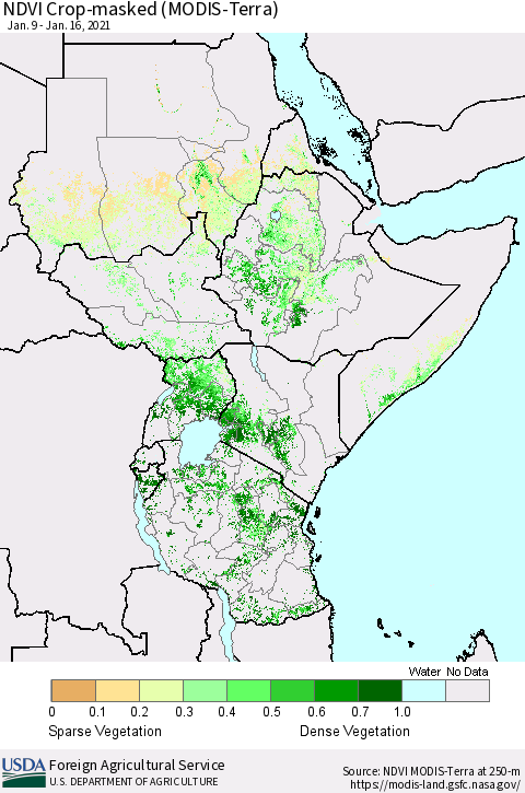 Eastern Africa Cropland NDVI (Terra-MODIS) Thematic Map For 1/11/2021 - 1/20/2021