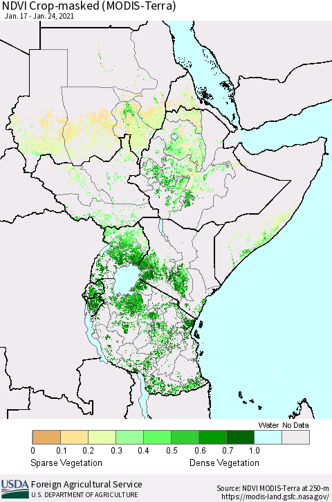 Eastern Africa NDVI Crop-masked (MODIS-Terra) Thematic Map For 1/21/2021 - 1/31/2021
