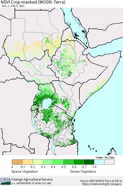 Eastern Africa Cropland NDVI (Terra-MODIS) Thematic Map For 2/1/2021 - 2/10/2021