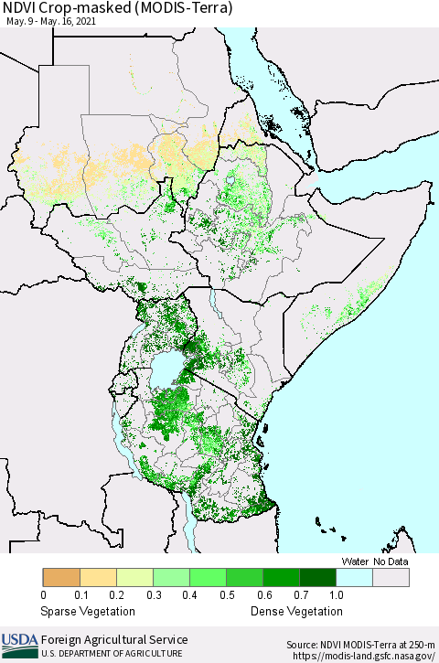 Eastern Africa Cropland NDVI (Terra-MODIS) Thematic Map For 5/11/2021 - 5/20/2021