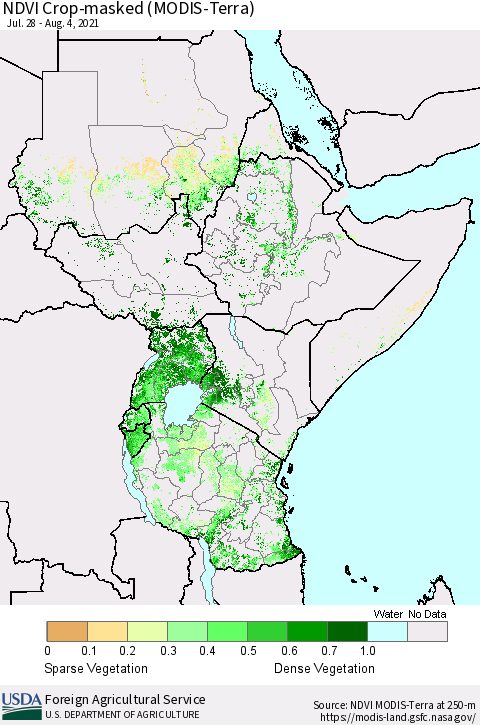 Eastern Africa NDVI Crop-masked (MODIS-Terra) Thematic Map For 8/1/2021 - 8/10/2021