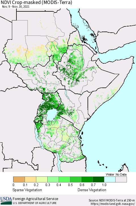 Eastern Africa Cropland NDVI (Terra-MODIS) Thematic Map For 11/11/2021 - 11/20/2021