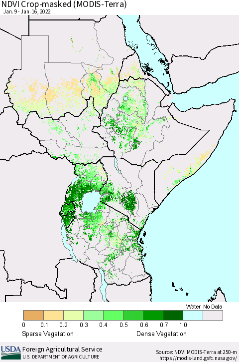 Eastern Africa NDVI Crop-masked (MODIS-Terra) Thematic Map For 1/11/2022 - 1/20/2022