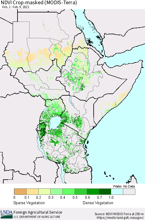 Eastern Africa Cropland NDVI (Terra-MODIS) Thematic Map For 2/1/2022 - 2/10/2022