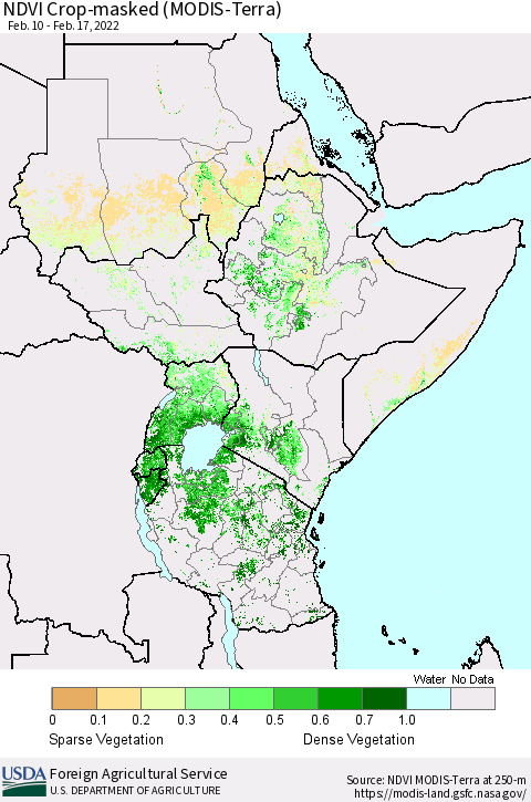 Eastern Africa Cropland NDVI (Terra-MODIS) Thematic Map For 2/11/2022 - 2/20/2022
