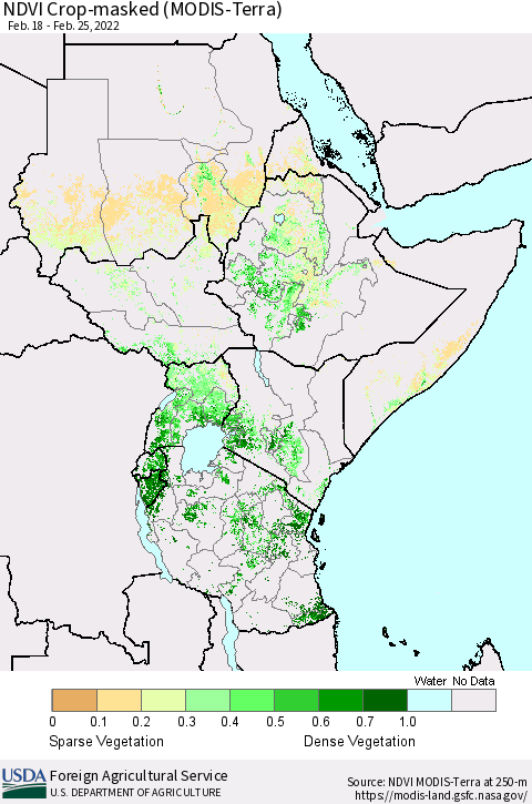 Eastern Africa Cropland NDVI (Terra-MODIS) Thematic Map For 2/21/2022 - 2/28/2022