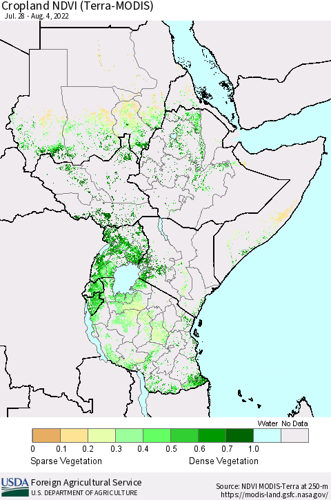 Eastern Africa Cropland NDVI (Terra-MODIS) Thematic Map For 8/1/2022 - 8/10/2022