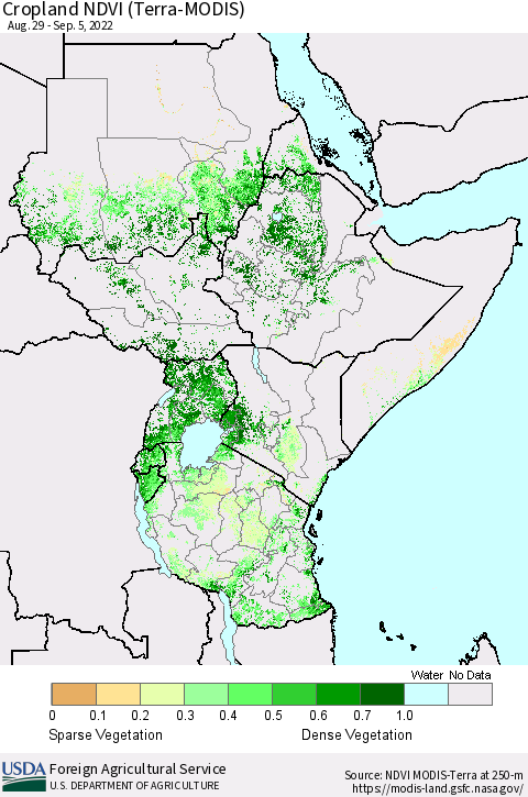 Eastern Africa Cropland NDVI (Terra-MODIS) Thematic Map For 9/1/2022 - 9/10/2022