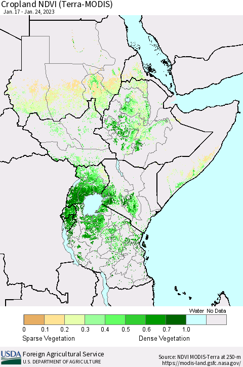 Eastern Africa Cropland NDVI (Terra-MODIS) Thematic Map For 1/21/2023 - 1/31/2023