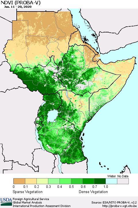 Eastern Africa NDVI (PROBA-V) Thematic Map For 6/11/2020 - 6/20/2020