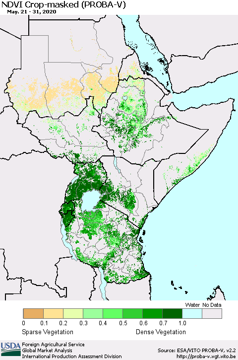 Eastern Africa NDVI Crop-masked (PROBA-V) Thematic Map For 5/21/2020 - 5/31/2020