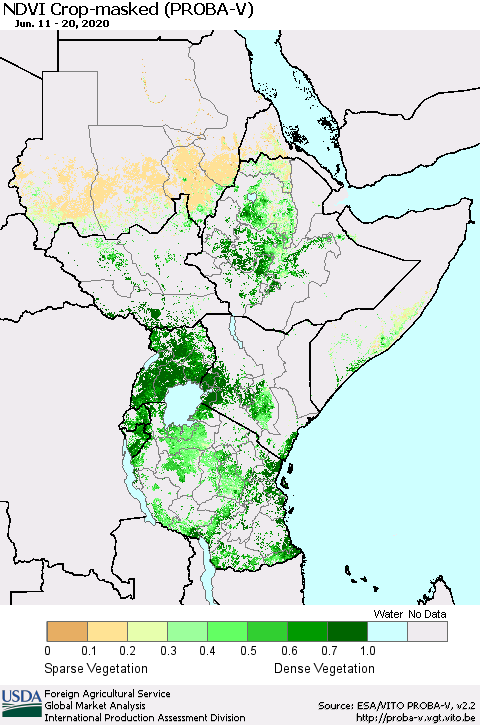 Eastern Africa NDVI Crop-masked (PROBA-V) Thematic Map For 6/11/2020 - 6/20/2020