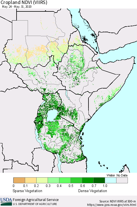 Eastern Africa Cropland NDVI (VIIRS) Thematic Map For 5/21/2020 - 5/31/2020