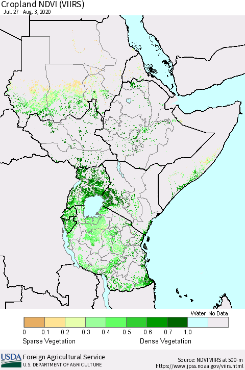 Eastern Africa Cropland NDVI (VIIRS) Thematic Map For 8/1/2020 - 8/10/2020