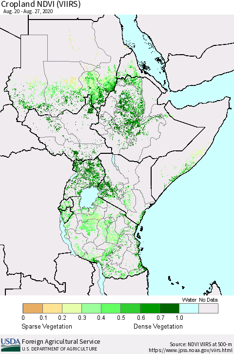 Eastern Africa Cropland NDVI (VIIRS) Thematic Map For 8/21/2020 - 8/31/2020