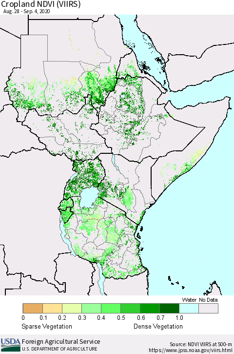 Eastern Africa Cropland NDVI (VIIRS) Thematic Map For 9/1/2020 - 9/10/2020