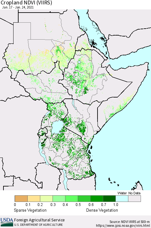 Eastern Africa Cropland NDVI (VIIRS) Thematic Map For 1/21/2021 - 1/31/2021