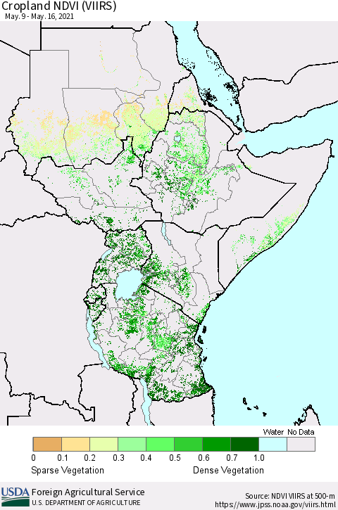 Eastern Africa Cropland NDVI (VIIRS) Thematic Map For 5/11/2021 - 5/20/2021