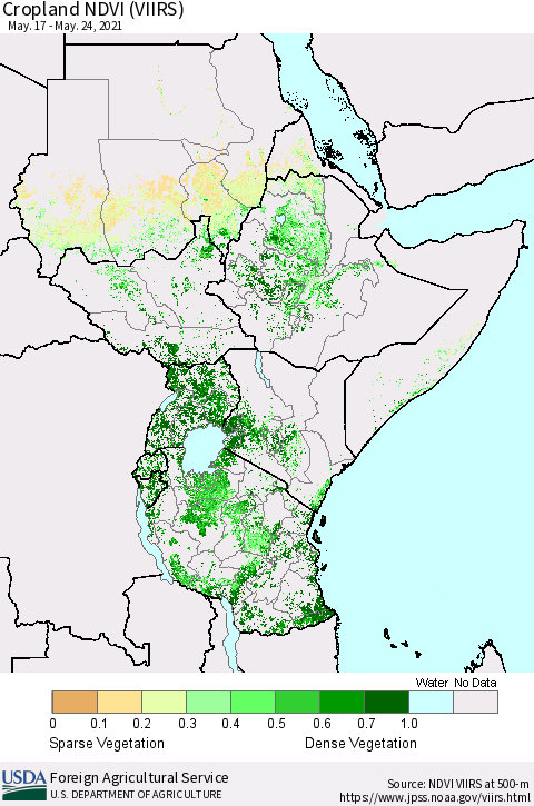Eastern Africa Cropland NDVI (VIIRS) Thematic Map For 5/21/2021 - 5/31/2021