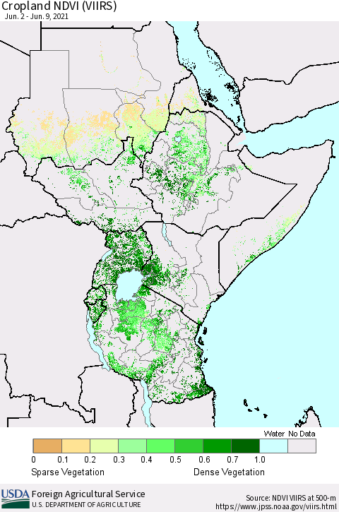 Eastern Africa Cropland NDVI (VIIRS) Thematic Map For 6/1/2021 - 6/10/2021