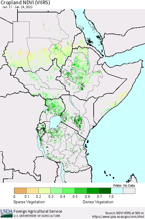 Eastern Africa Cropland NDVI (VIIRS) Thematic Map For 1/21/2022 - 1/31/2022