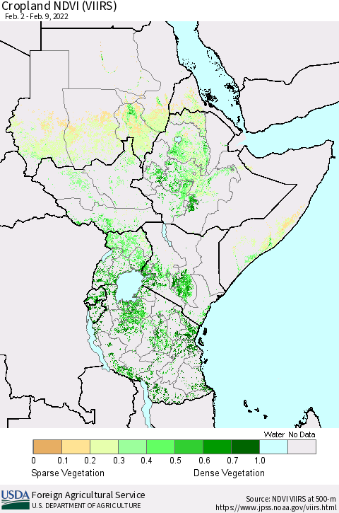 Eastern Africa Cropland NDVI (VIIRS) Thematic Map For 2/1/2022 - 2/10/2022
