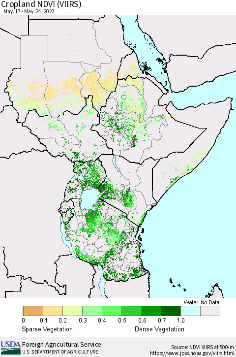 Eastern Africa Cropland NDVI (VIIRS) Thematic Map For 5/21/2022 - 5/31/2022