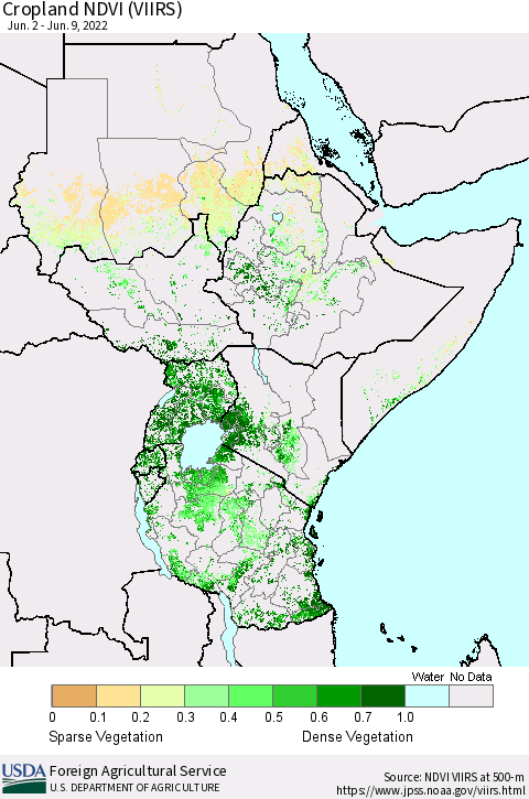 Eastern Africa Cropland NDVI (VIIRS) Thematic Map For 6/1/2022 - 6/10/2022