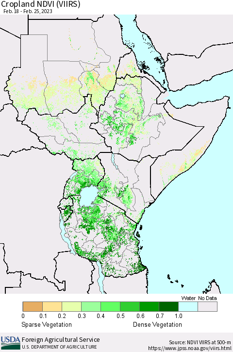 Eastern Africa Cropland NDVI (VIIRS) Thematic Map For 2/21/2023 - 2/28/2023