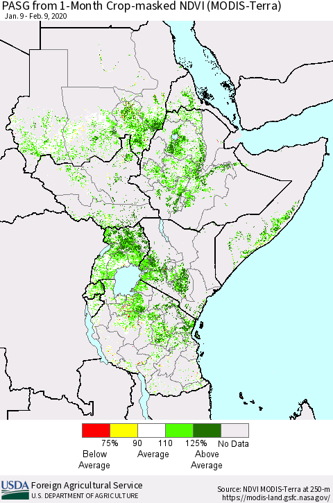 Eastern Africa PASG from 1-Month Cropland NDVI (Terra-MODIS) Thematic Map For 2/1/2020 - 2/10/2020