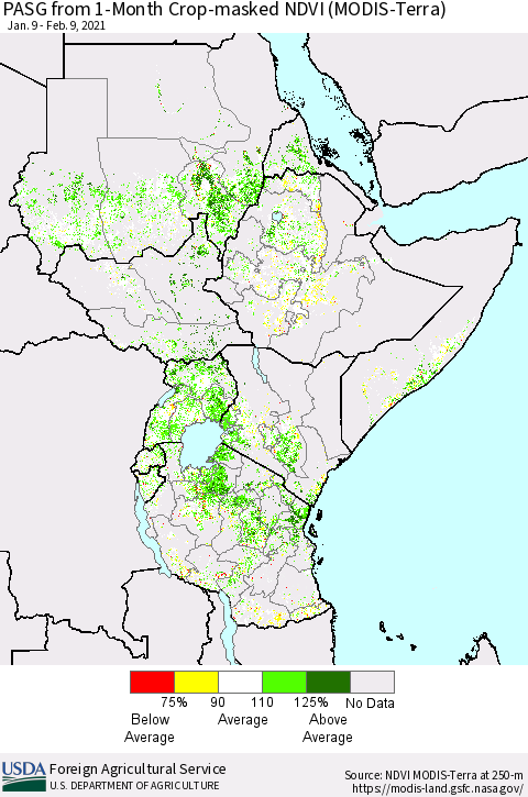 Eastern Africa PASG from 1-Month Cropland NDVI (Terra-MODIS) Thematic Map For 2/1/2021 - 2/10/2021