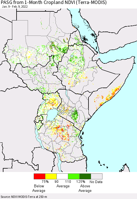 Eastern Africa PASG from 1-Month Cropland NDVI (Terra-MODIS) Thematic Map For 2/2/2022 - 2/9/2022