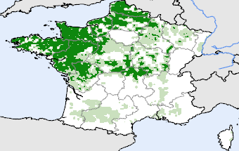 France