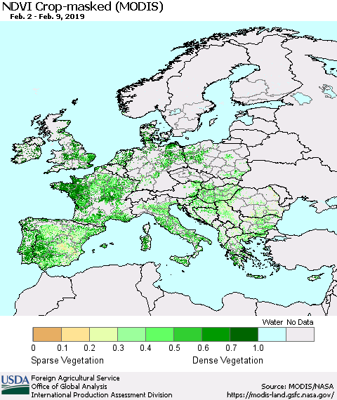 Europe Cropland NDVI (Terra-MODIS) Thematic Map For 2/1/2019 - 2/10/2019