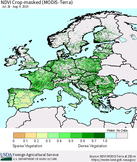 Europe Cropland NDVI (Terra-MODIS) Thematic Map For 8/1/2019 - 8/10/2019