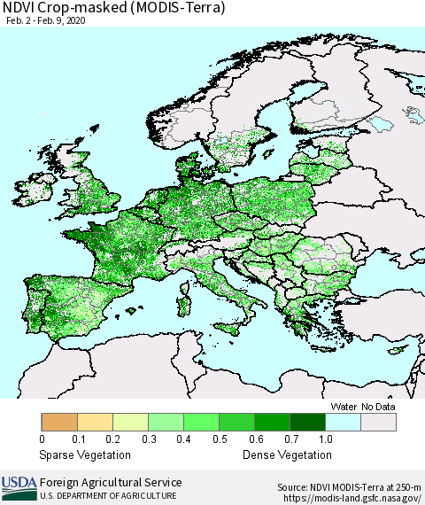 Europe Cropland NDVI (Terra-MODIS) Thematic Map For 2/1/2020 - 2/10/2020