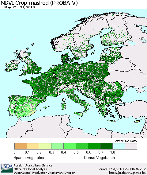 Europe NDVI Crop-masked (PROBA-V) Thematic Map For 5/21/2018 - 5/31/2018
