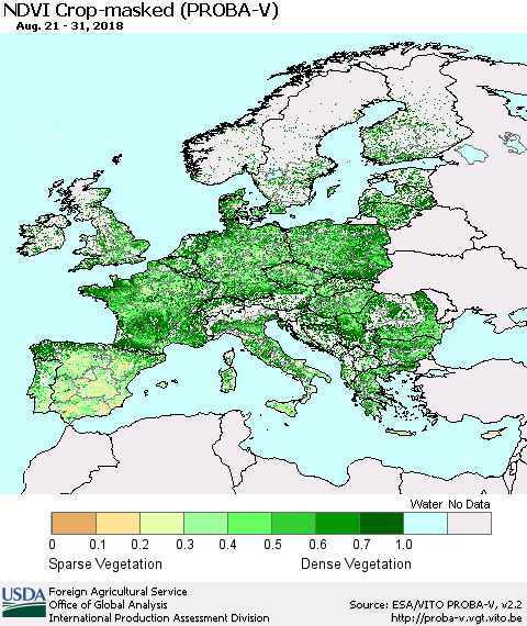 Europe NDVI Crop-masked (PROBA-V) Thematic Map For 8/21/2018 - 8/31/2018