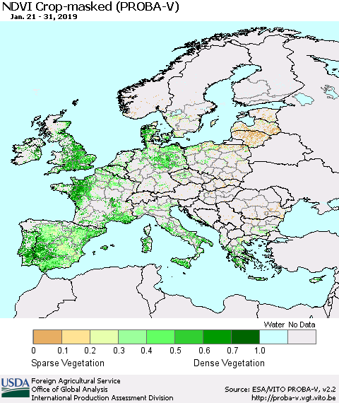Europe NDVI Crop-masked (PROBA-V) Thematic Map For 1/21/2019 - 1/31/2019