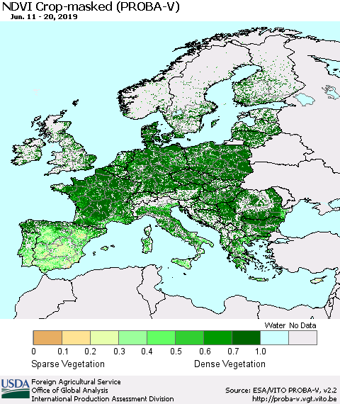 Europe NDVI Crop-masked (PROBA-V) Thematic Map For 6/11/2019 - 6/20/2019