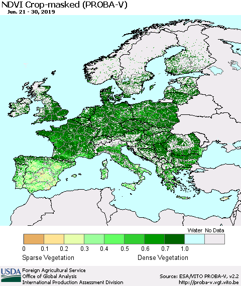 Europe NDVI Crop-masked (PROBA-V) Thematic Map For 6/21/2019 - 6/30/2019