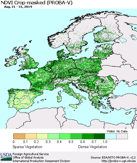 Europe NDVI Crop-masked (PROBA-V) Thematic Map For 8/21/2019 - 8/31/2019