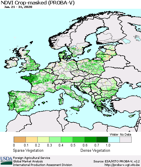 Europe NDVI Crop-masked (PROBA-V) Thematic Map For 1/21/2020 - 1/31/2020