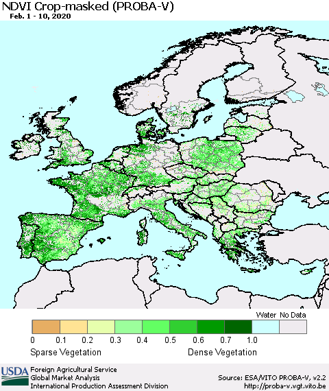 Europe NDVI Crop-masked (PROBA-V) Thematic Map For 2/1/2020 - 2/10/2020