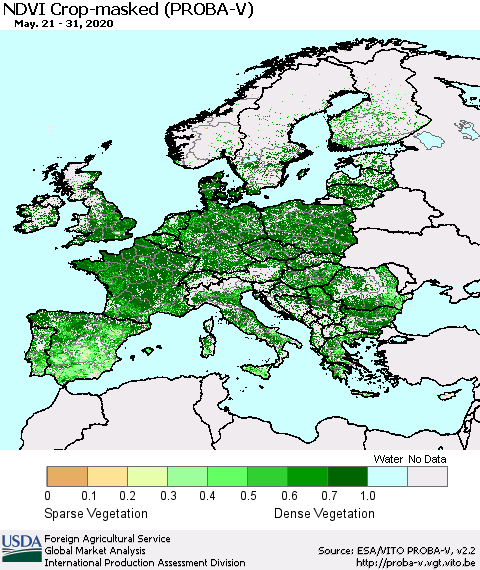 Europe NDVI Crop-masked (PROBA-V) Thematic Map For 5/21/2020 - 5/31/2020