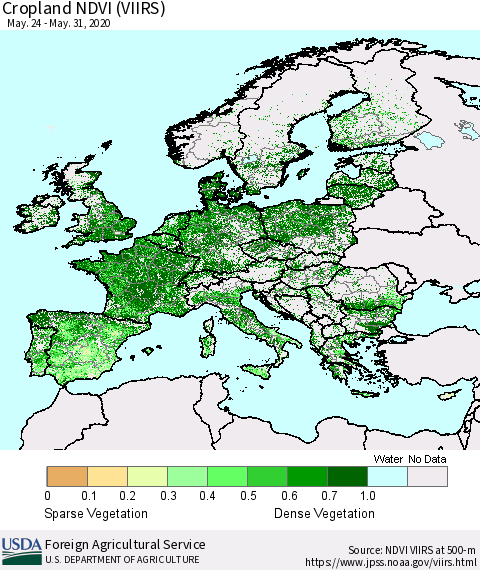 Europe Cropland NDVI (VIIRS) Thematic Map For 5/21/2020 - 5/31/2020