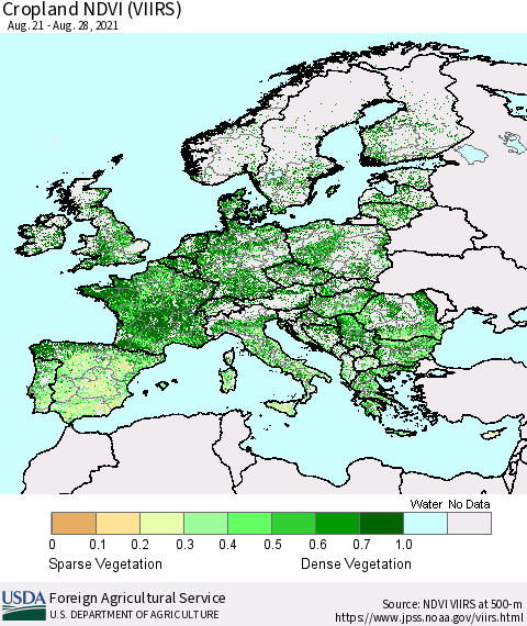 Europe Cropland NDVI (VIIRS) Thematic Map For 8/21/2021 - 8/31/2021