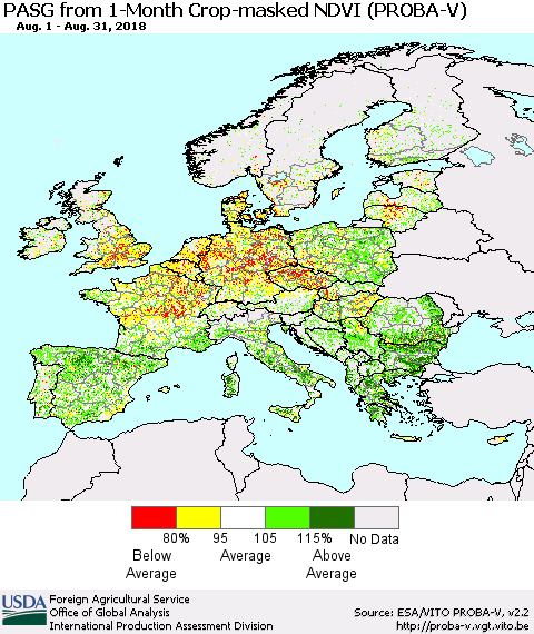Europe PASG from 1-Month Crop-masked NDVI (PROBA-V) Thematic Map For 8/21/2018 - 8/31/2018