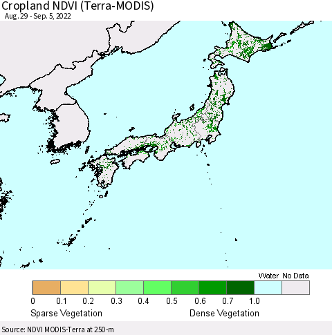 Japan Cropland NDVI (Terra-MODIS) Thematic Map For 8/29/2022 - 9/5/2022